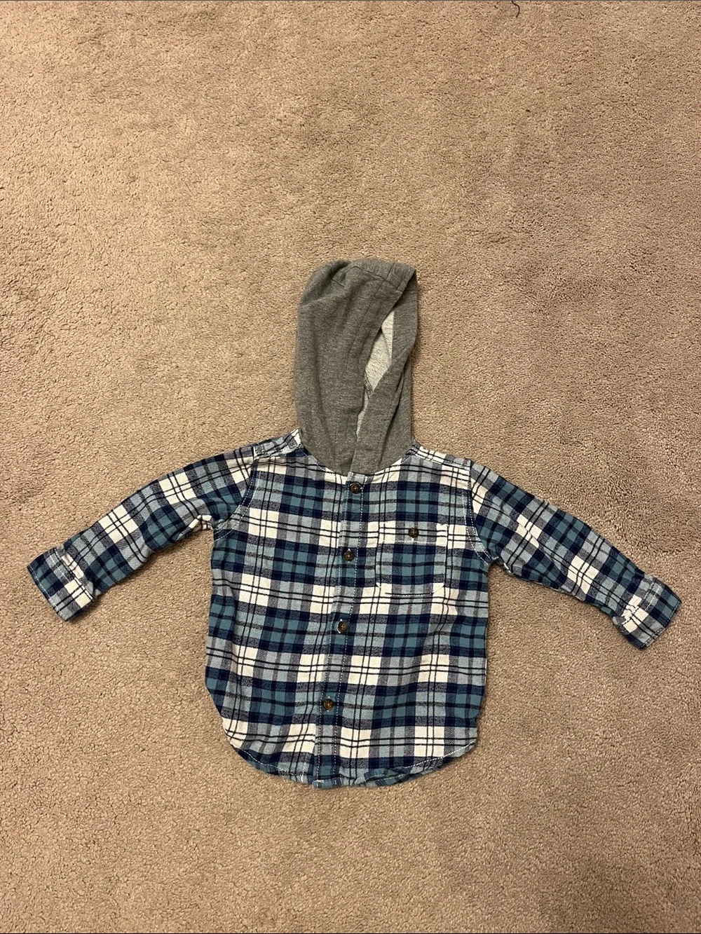 Carter's Blue and White Plaid Button-Down with Gray Hood